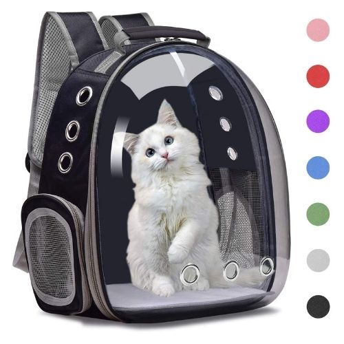 Clear Cat/Dog Backpack: See the World